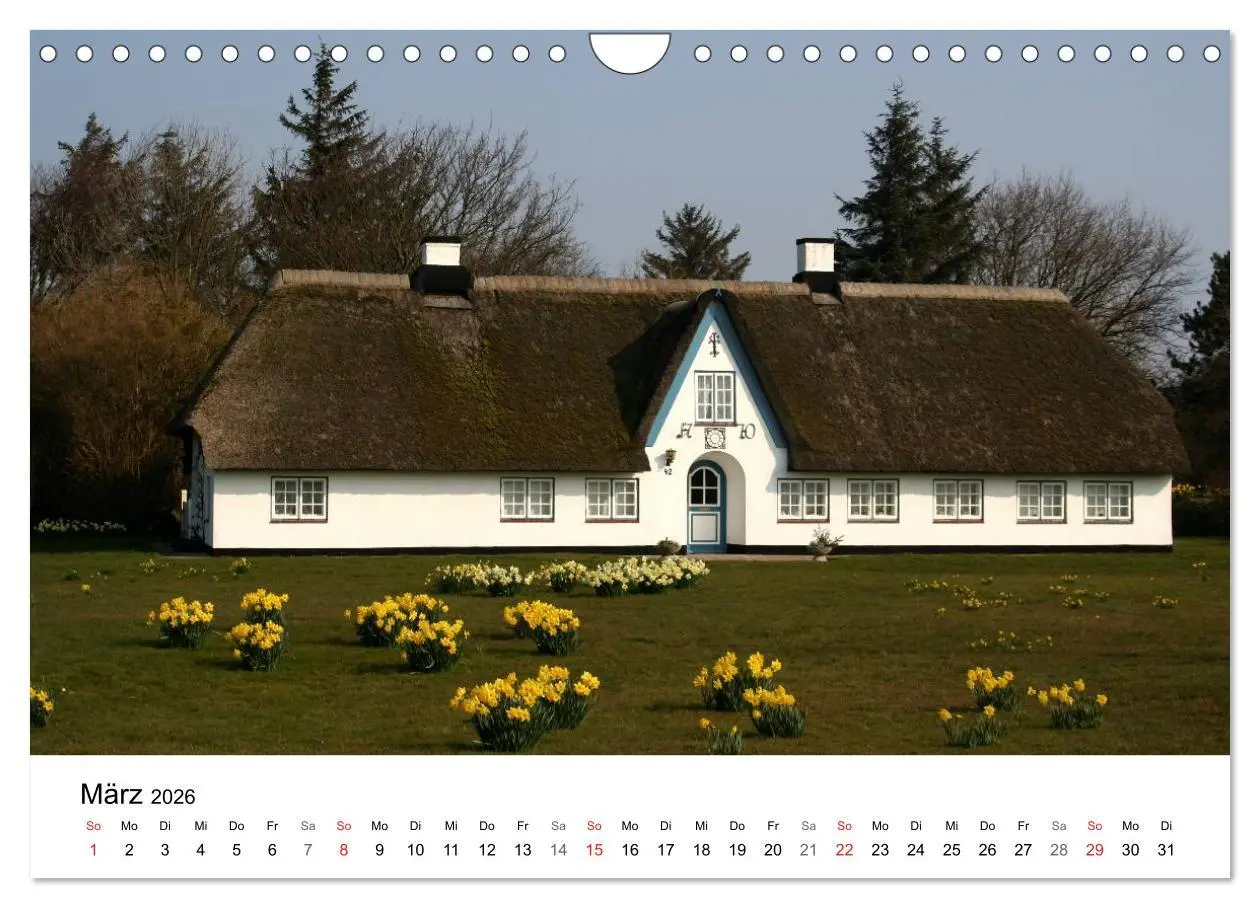 Bild: 9783516185737 | Friesenhäuser (Wandkalender 2026 DIN A4 quer), CALVENDO Monatskalender
