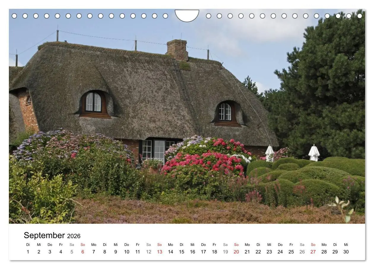 Bild: 9783516185737 | Friesenhäuser (Wandkalender 2026 DIN A4 quer), CALVENDO Monatskalender