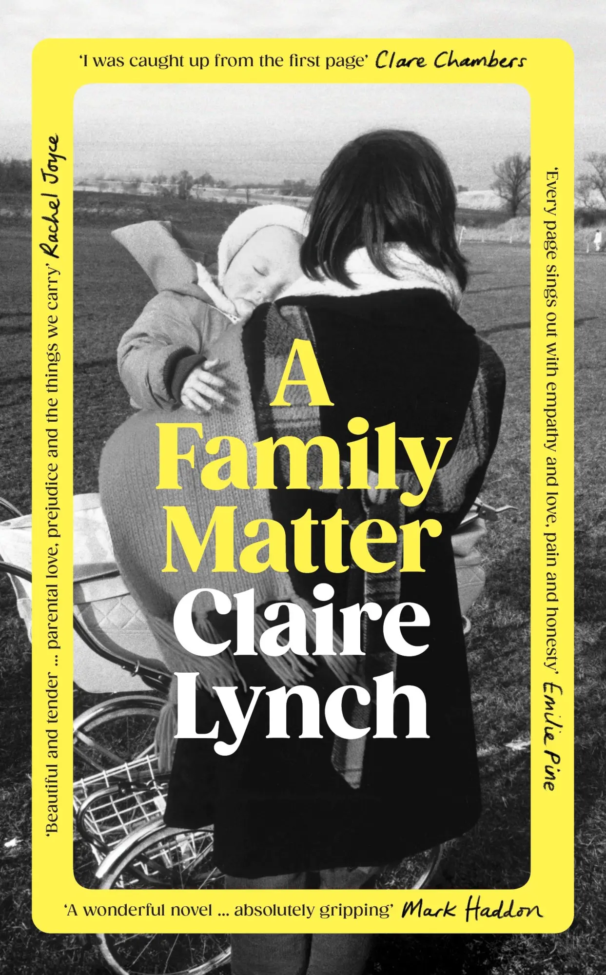 Cover: 9781784745837 | A Family Matter | Claire Lynch | Buch | Englisch | 2025