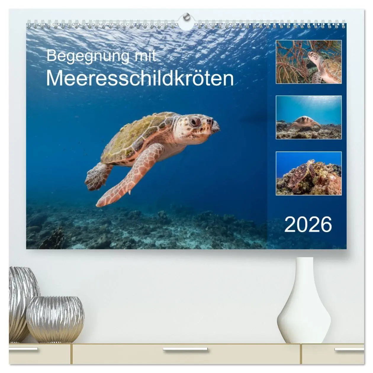 Cover: 9783457775837 | Begegnung mit Meeresschildkröten (hochwertiger Premium Wandkalender...