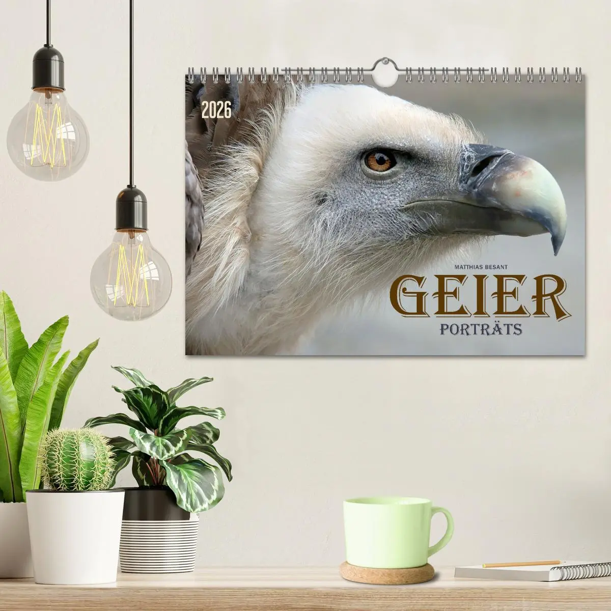 Bild: 9783457915837 | GEIERPORTRÄTS (Wandkalender 2026 DIN A4 quer), CALVENDO Monatskalender