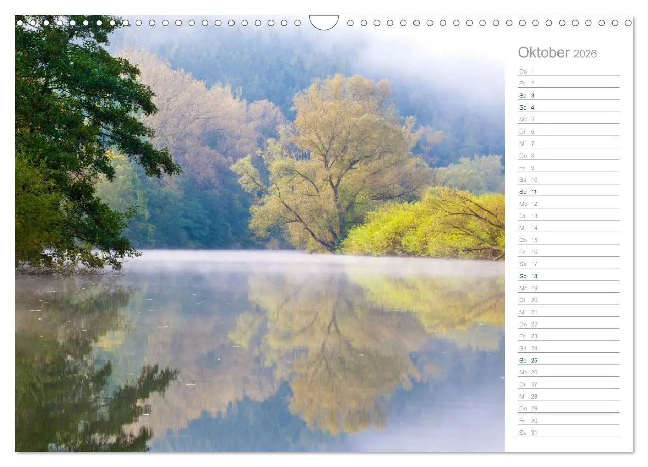 Bild: 9783516005837 | Im Deutschen Wald 2026 - ein Notizkalender (Wandkalender 2026 DIN...