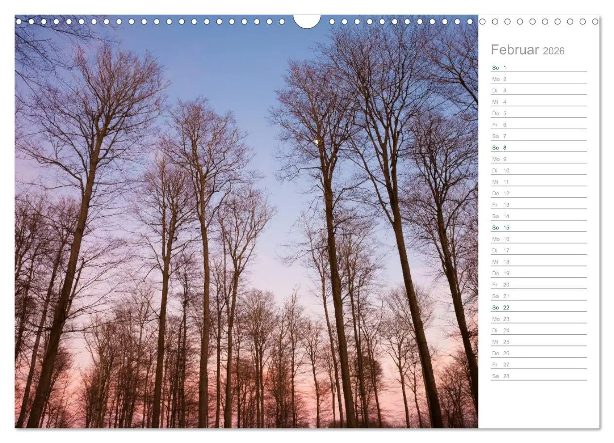 Bild: 9783516005837 | Im Deutschen Wald 2026 - ein Notizkalender (Wandkalender 2026 DIN...