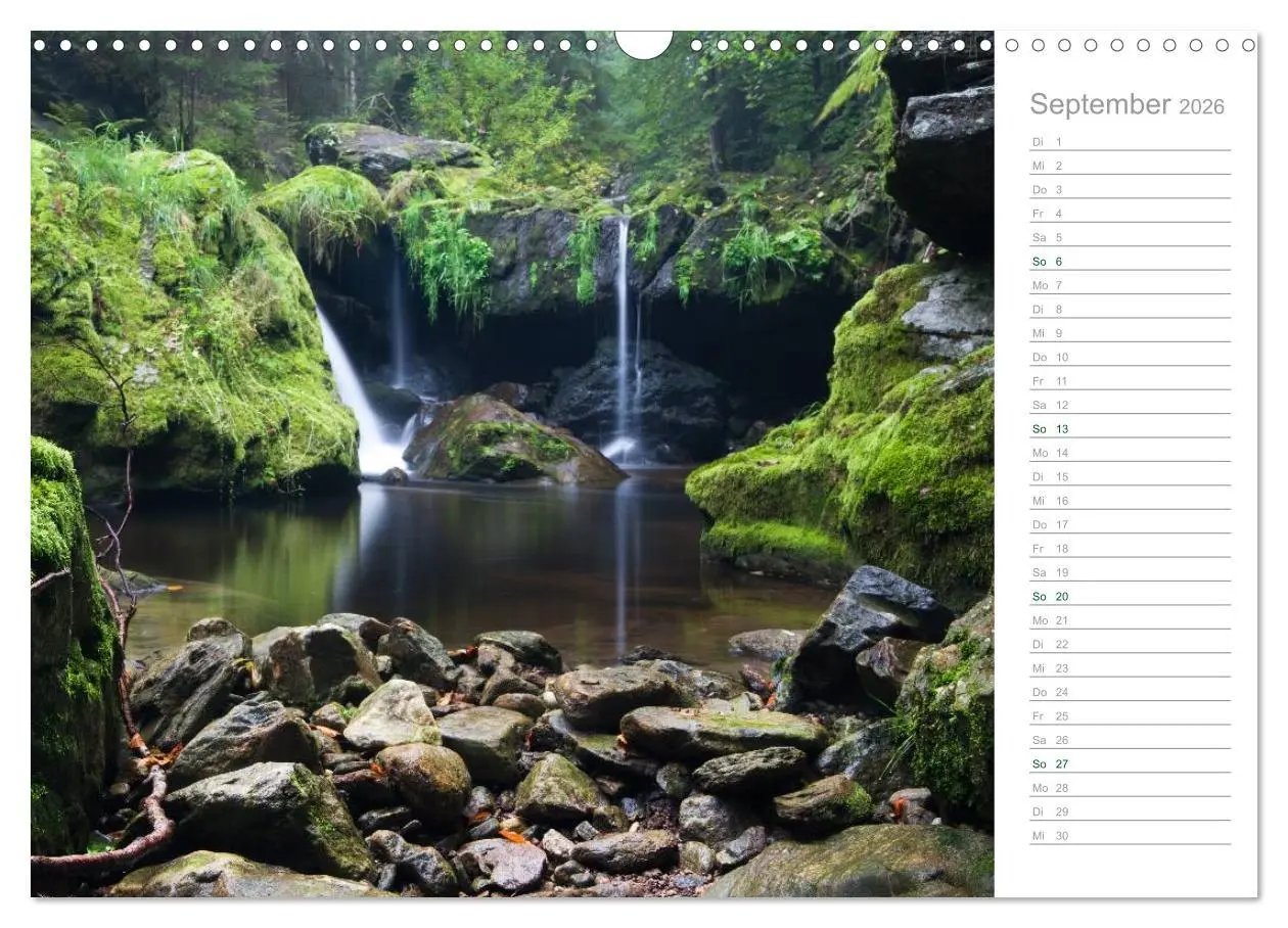Bild: 9783516005837 | Im Deutschen Wald 2026 - ein Notizkalender (Wandkalender 2026 DIN...