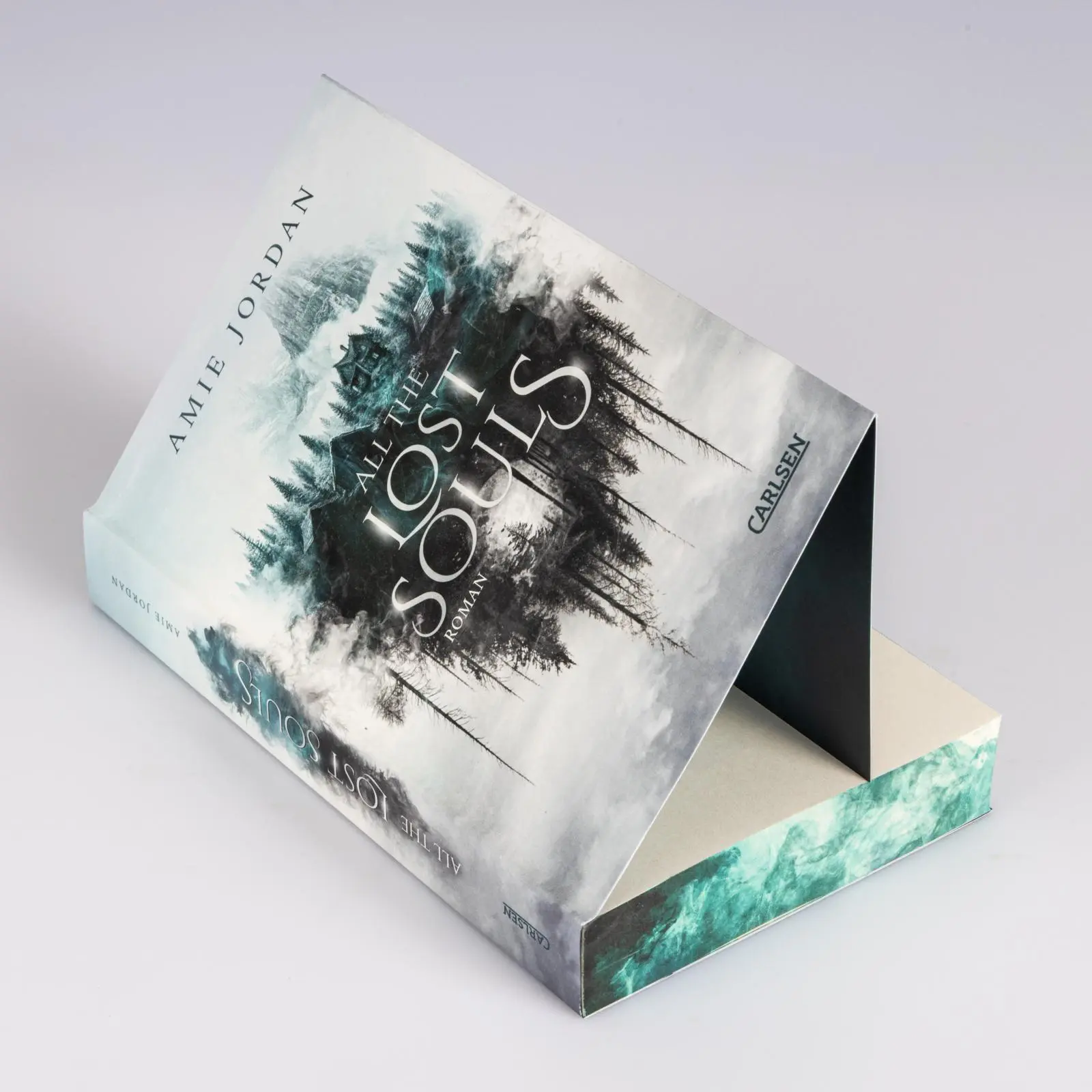 Bild: 9783551585837 | All the Hidden Monsters 2: All the Lost Souls | Amie Jordan | Buch