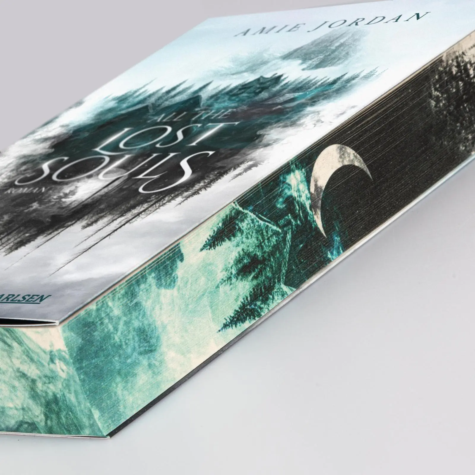 Bild: 9783551585837 | All the Hidden Monsters 2: All the Lost Souls | Amie Jordan | Buch