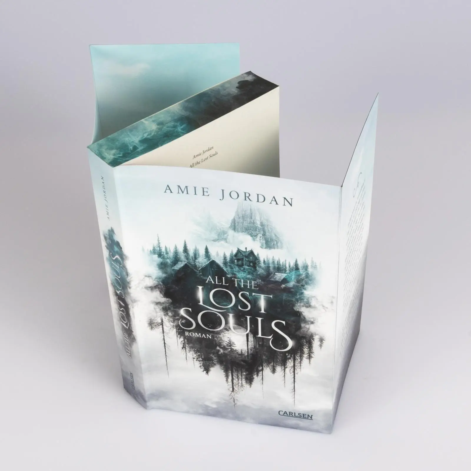 Bild: 9783551585837 | All the Hidden Monsters 2: All the Lost Souls | Amie Jordan | Buch