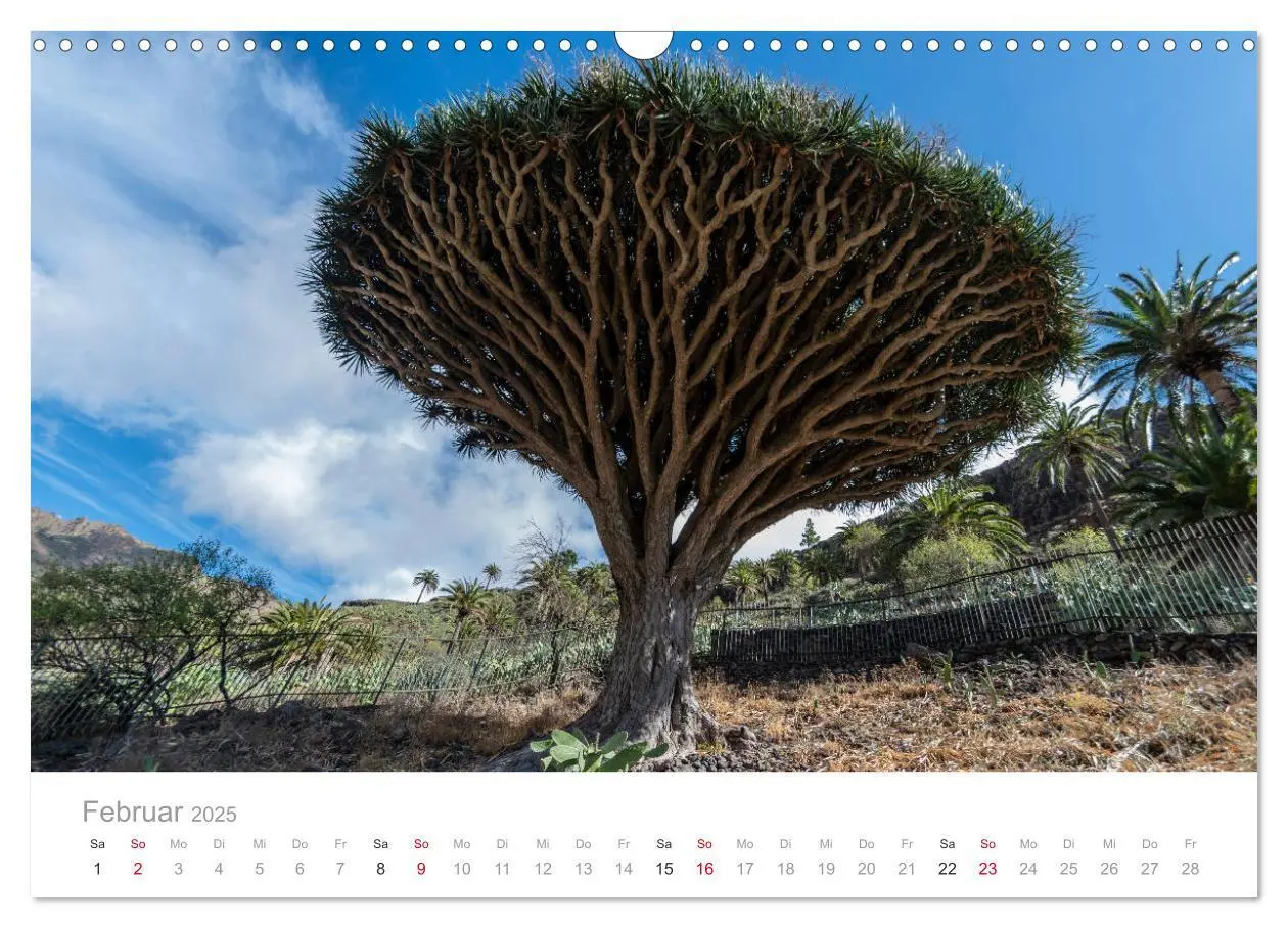 Bild: 9783435256037 | La Gomera - Die grüne Perle der Kanaren. (Wandkalender 2025 DIN A3...