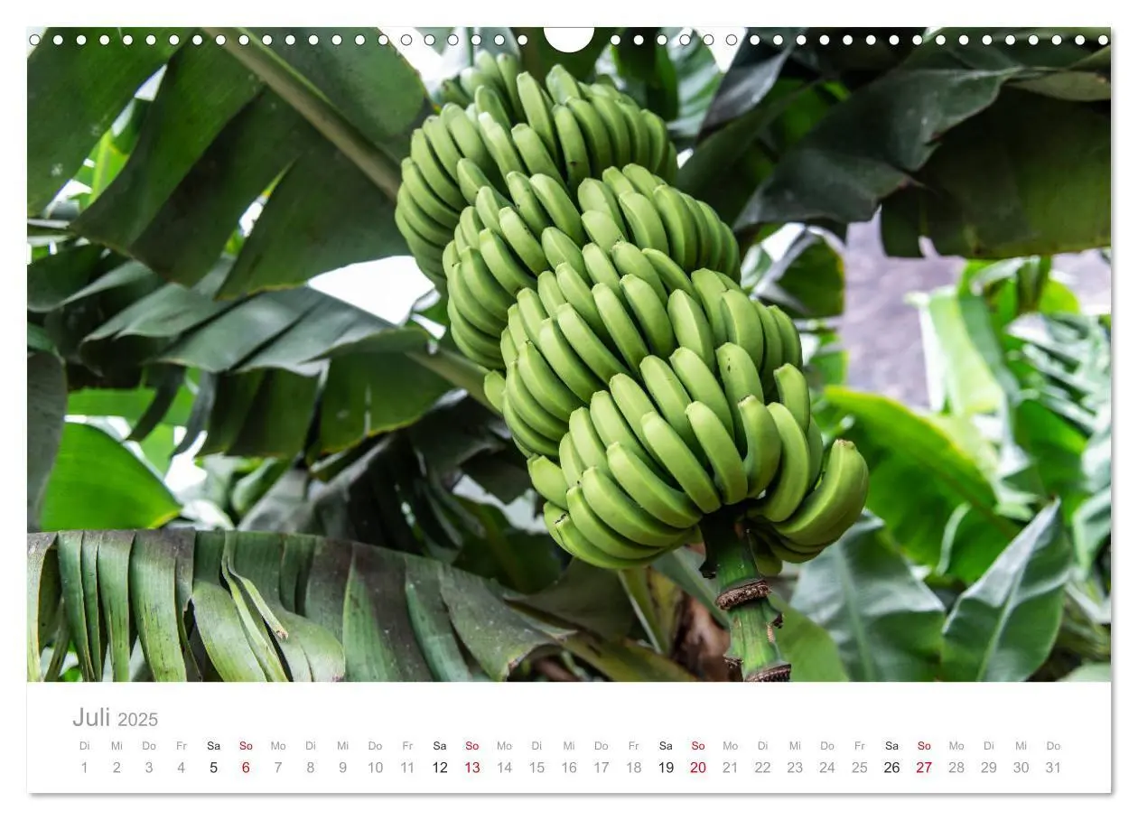 Bild: 9783435256037 | La Gomera - Die grüne Perle der Kanaren. (Wandkalender 2025 DIN A3...