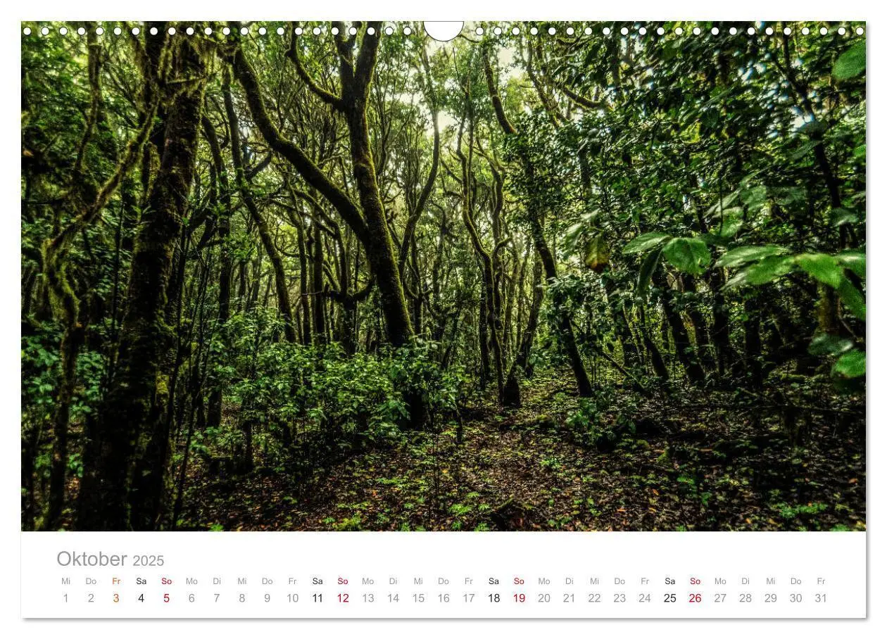 Bild: 9783435256037 | La Gomera - Die grüne Perle der Kanaren. (Wandkalender 2025 DIN A3...