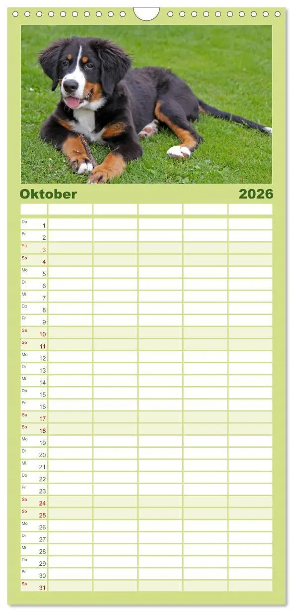 Bild: 9783516506037 | Familienplaner 2026 - Hunde - Beste Freunde der Menschen mit 5...