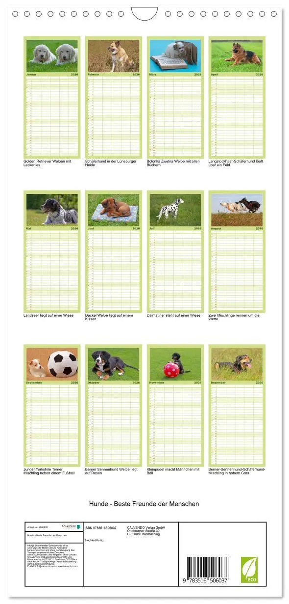Bild: 9783516506037 | Familienplaner 2026 - Hunde - Beste Freunde der Menschen mit 5...