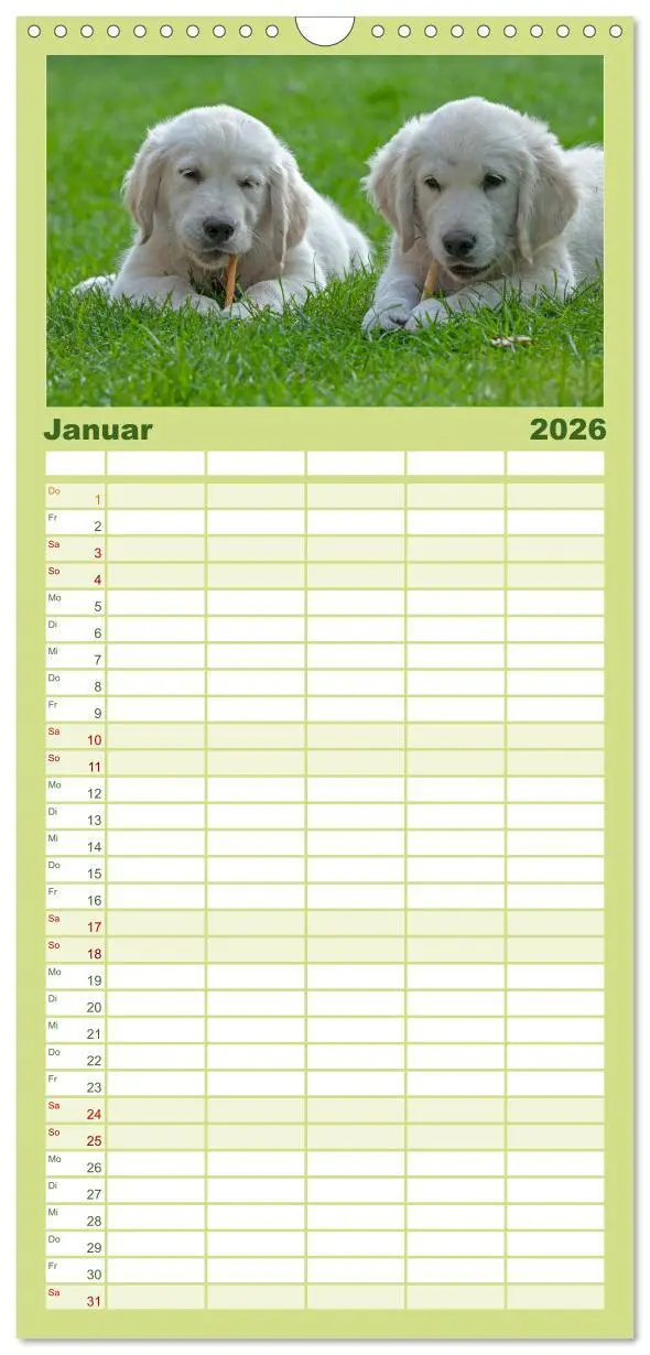 Bild: 9783516506037 | Familienplaner 2026 - Hunde - Beste Freunde der Menschen mit 5...