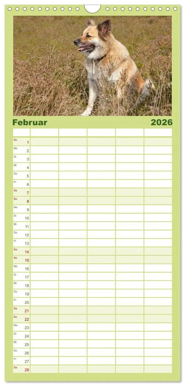 Bild: 9783516506037 | Familienplaner 2026 - Hunde - Beste Freunde der Menschen mit 5...