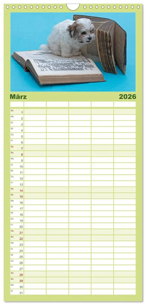 Bild: 9783516506037 | Familienplaner 2026 - Hunde - Beste Freunde der Menschen mit 5...
