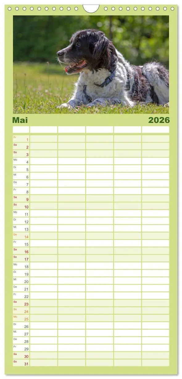 Bild: 9783516506037 | Familienplaner 2026 - Hunde - Beste Freunde der Menschen mit 5...