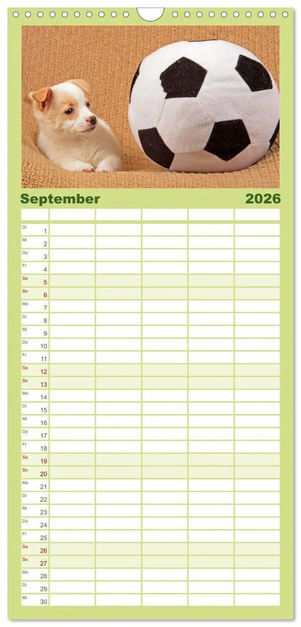 Bild: 9783516506037 | Familienplaner 2026 - Hunde - Beste Freunde der Menschen mit 5...