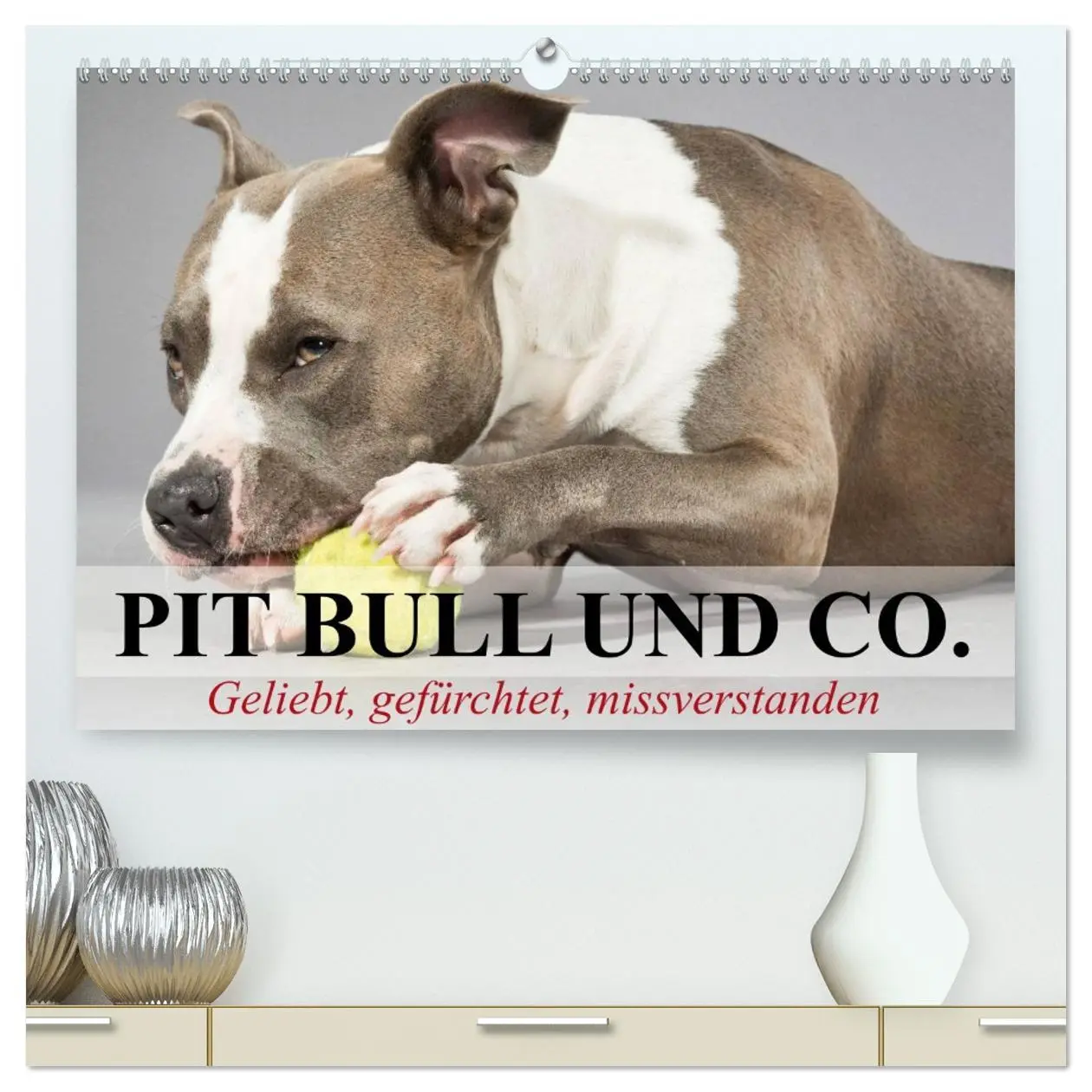 Cover: 9783516116137 | Pit Bull und Co. - Geliebt, gefürchtet, missverstanden...