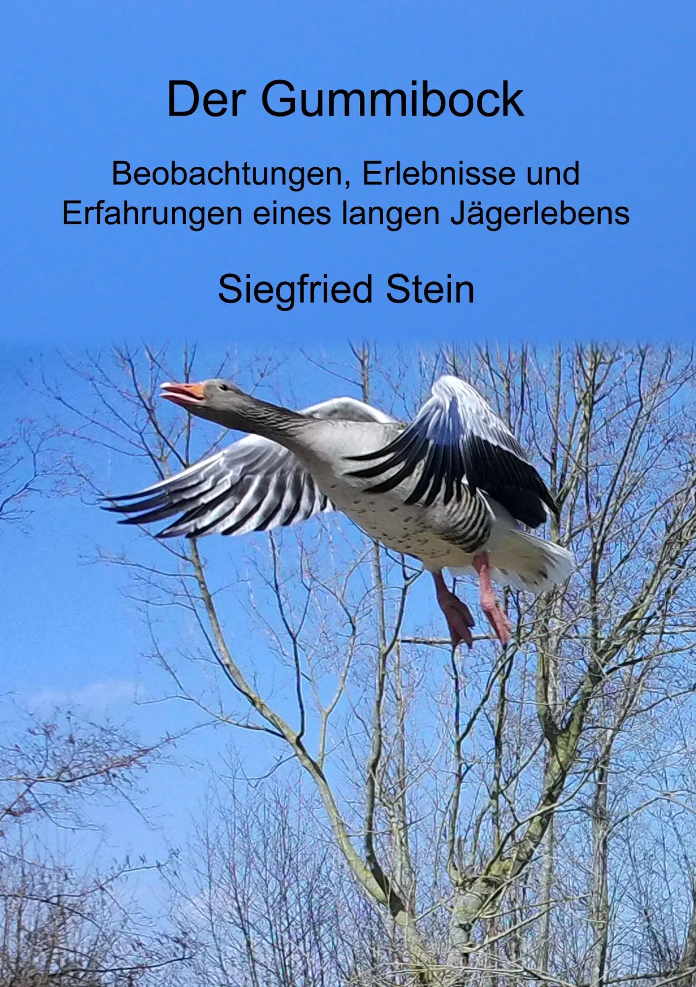 Cover: 9783749486137 | Der Gummibock | Siegfried Stein | Taschenbuch | Paperback | 196 S.