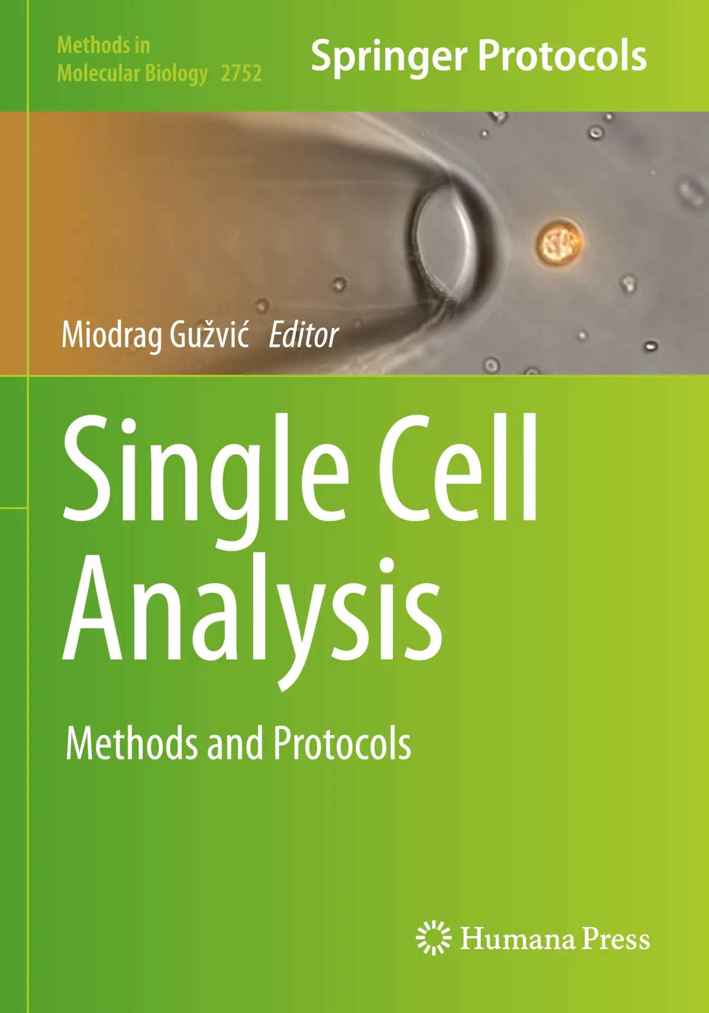 Cover: 9781071636237 | Single Cell Analysis | Methods and Protocols | Miodrag Gu¿vi¿ | Buch
