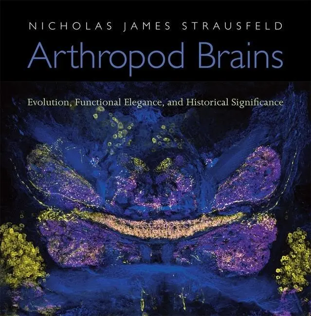 Cover: 9780674046337 | Arthropod Brains | Nicholas James Strausfeld | Buch | Gebunden | 2012