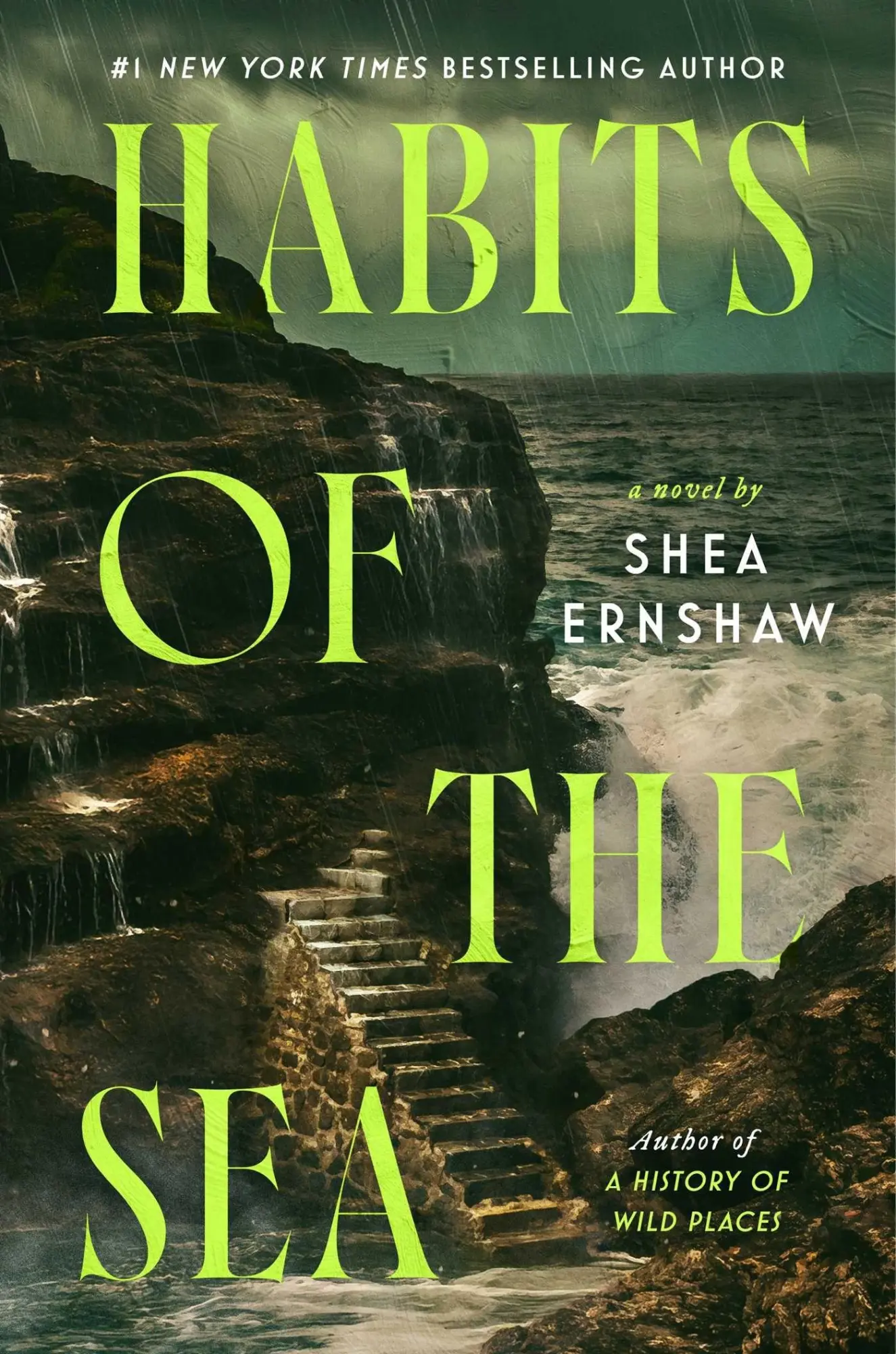 Cover: 9781668246337 | Habits of the Sea | A Novel | Shea Ernshaw | Taschenbuch | 296 S.