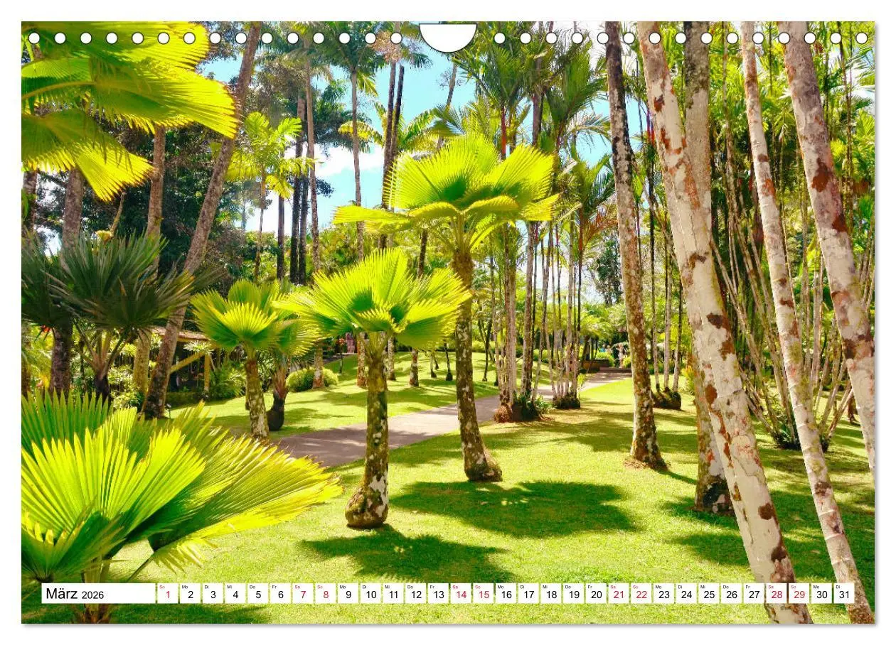 Bild: 9783457796337 | Karibische Momente - Eine Reise ins tropische Paradies...
