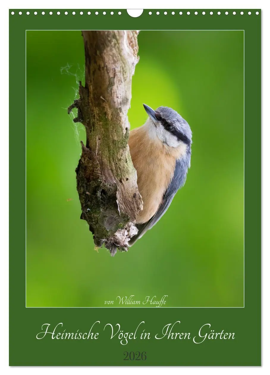Cover: 9783516336337 | Heimische Vögel in Ihren Gärten (Wandkalender 2026 DIN A3 hoch),...