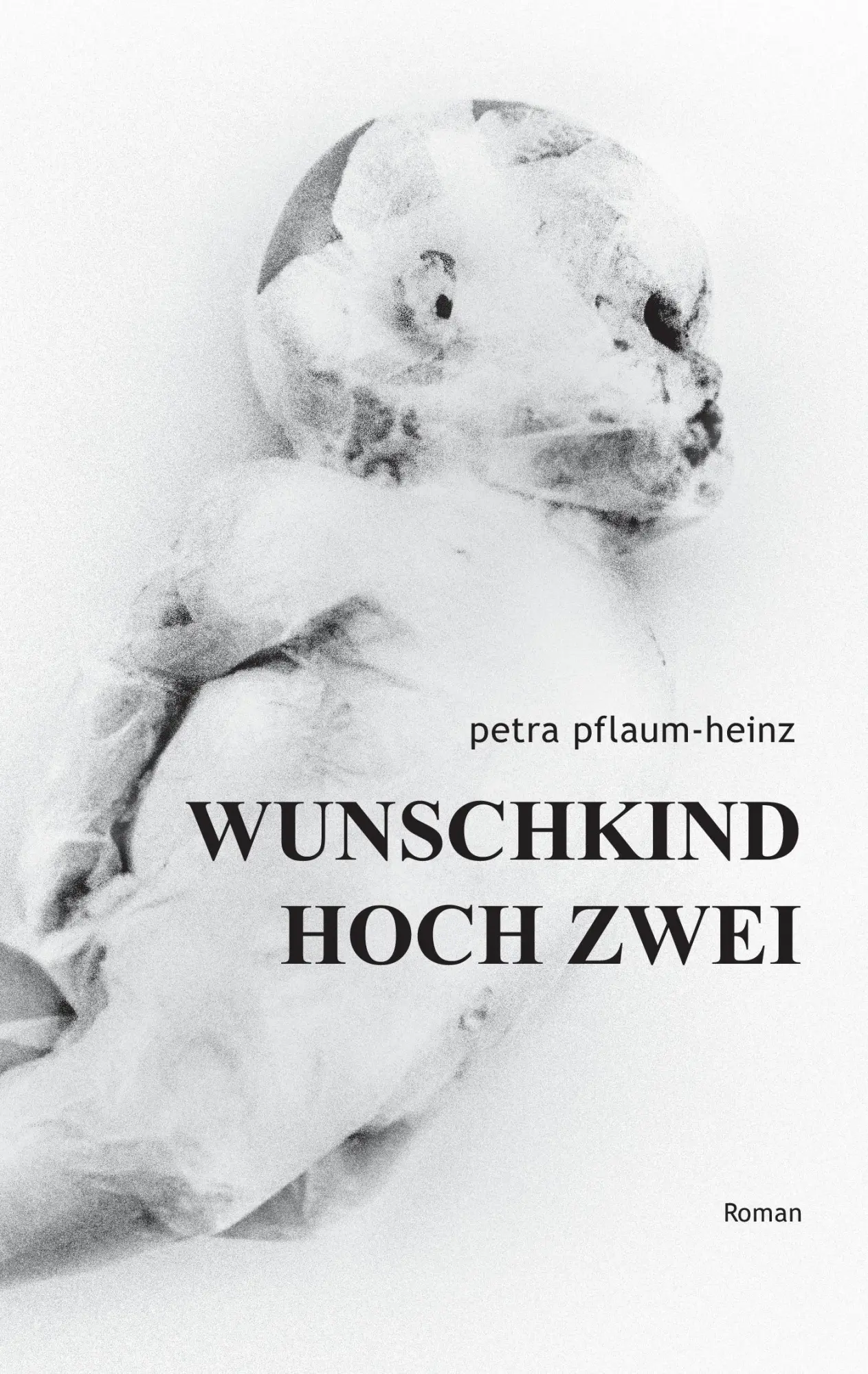 Cover: 9783734516337 | Wunschkind Hoch Zwei | Petra Pflaum-Heinz | Taschenbuch | 252 S.