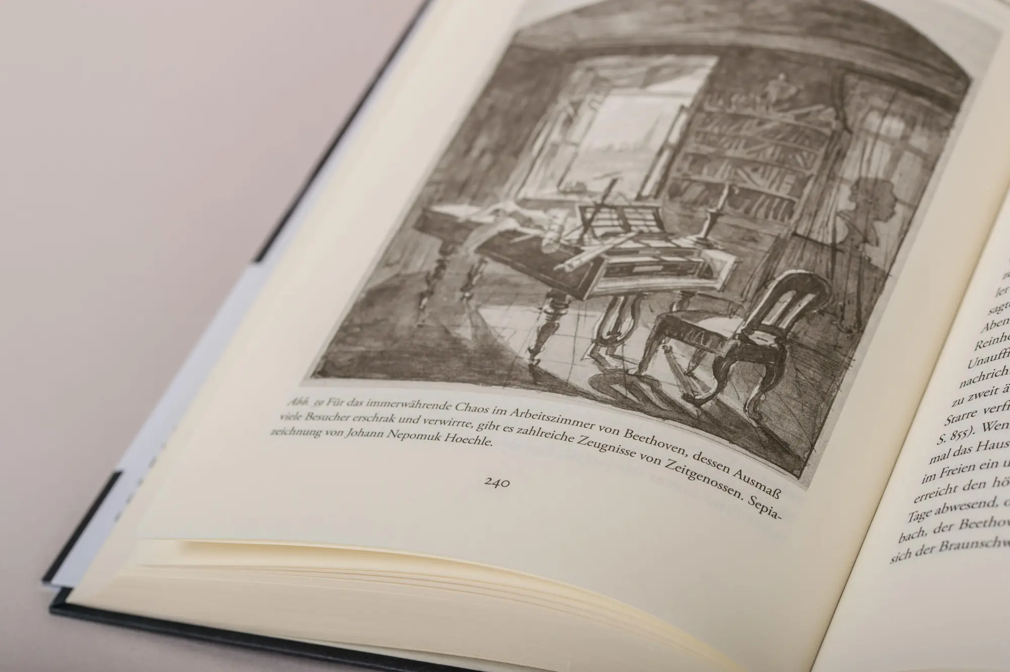 Bild: 9783896676337 | Die zwei Leben des Ludwig van Beethoven | Biographie | Ulrich Drüner