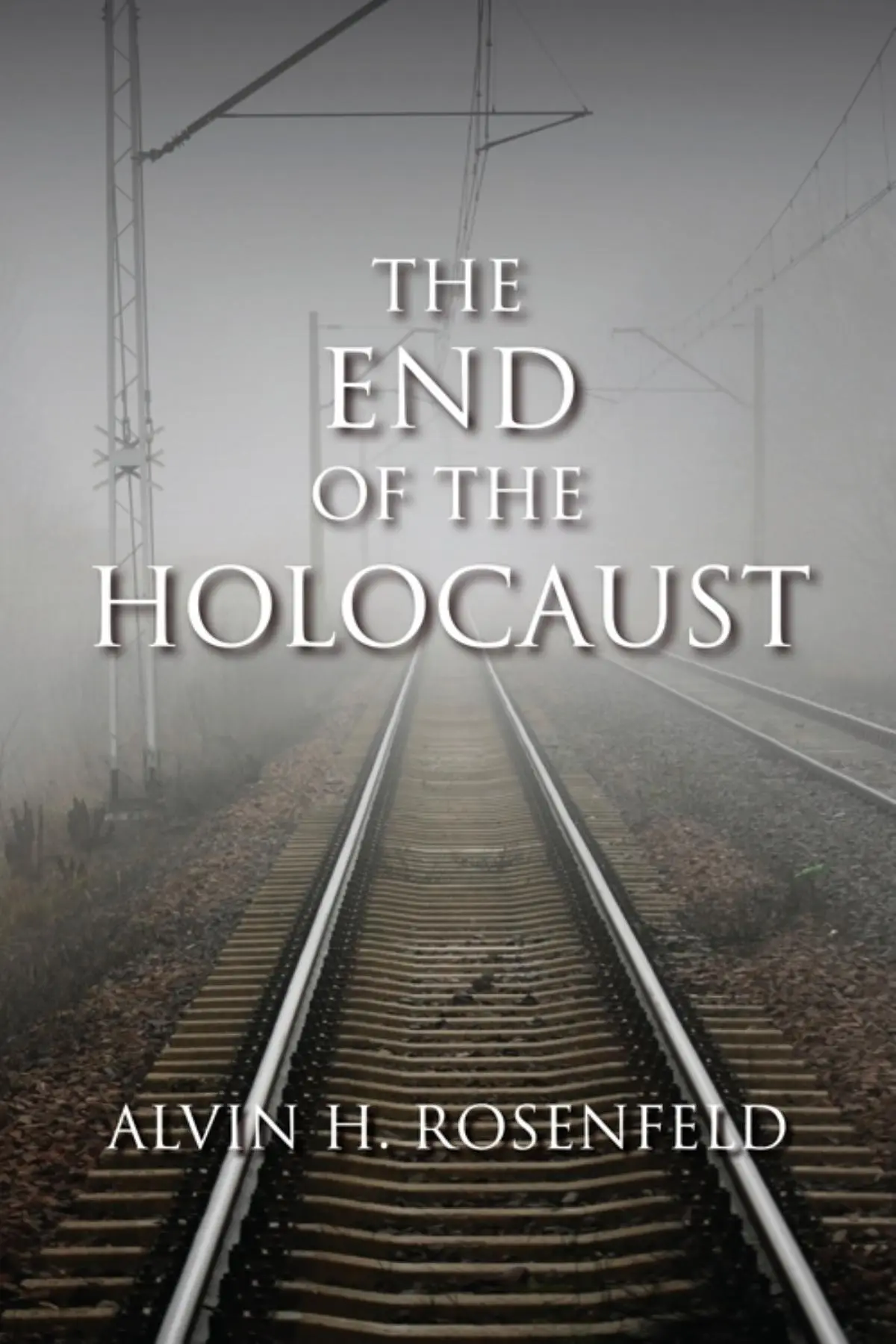 Cover: 9780253356437 | The End of the Holocaust | Alvin H Rosenfeld | Buch | Englisch | 2011