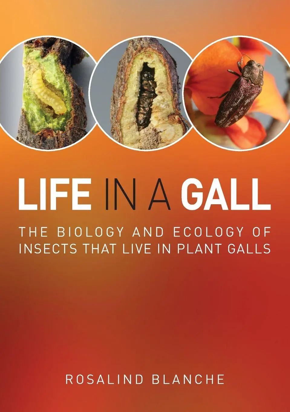 Cover: 9780643106437 | Life in a Gall | Rosalind Blanche | Taschenbuch | Englisch | 2012