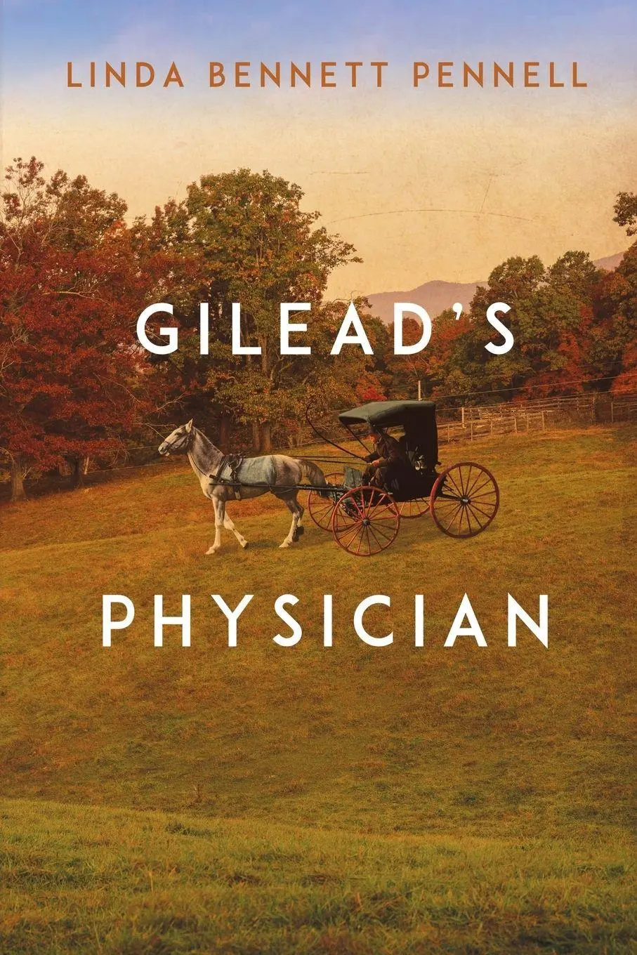 Cover: 9781685136437 | Gilead's Physician | Linda Bennett Pennell | Taschenbuch | Englisch