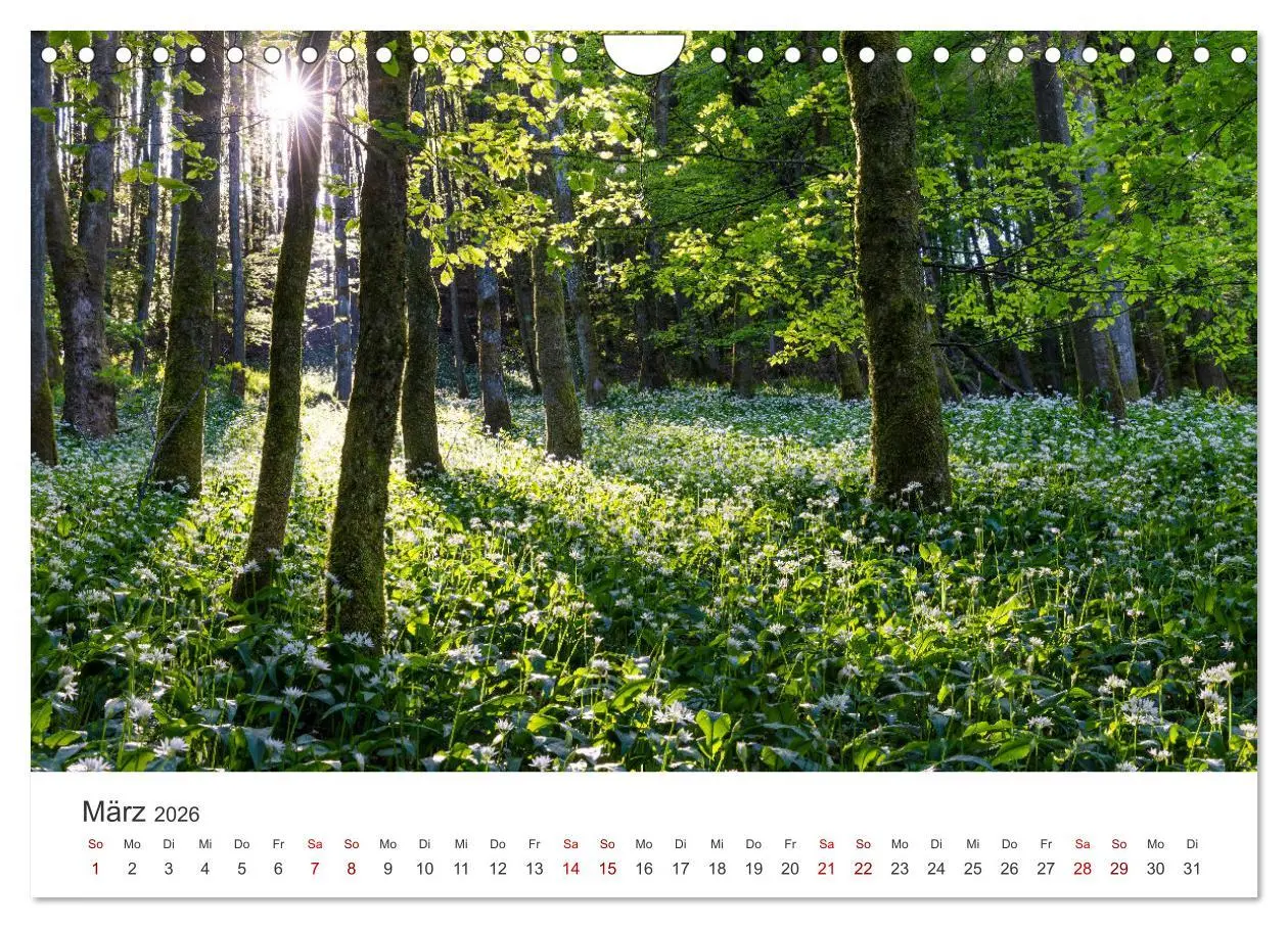 Bild: 9783457306437 | Sauerland - hier muss man mal gewesen sein (Wandkalender 2026 DIN...