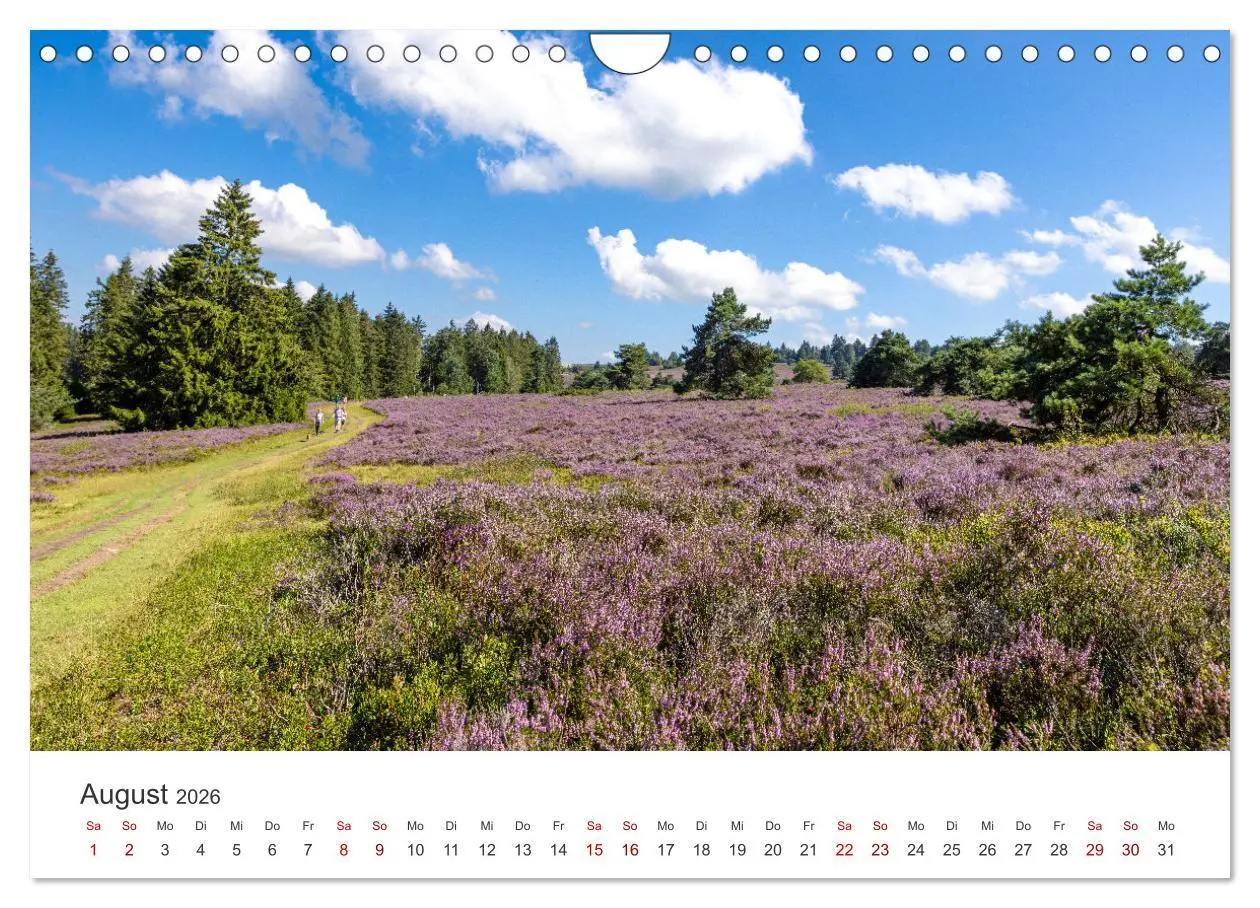 Bild: 9783457306437 | Sauerland - hier muss man mal gewesen sein (Wandkalender 2026 DIN...