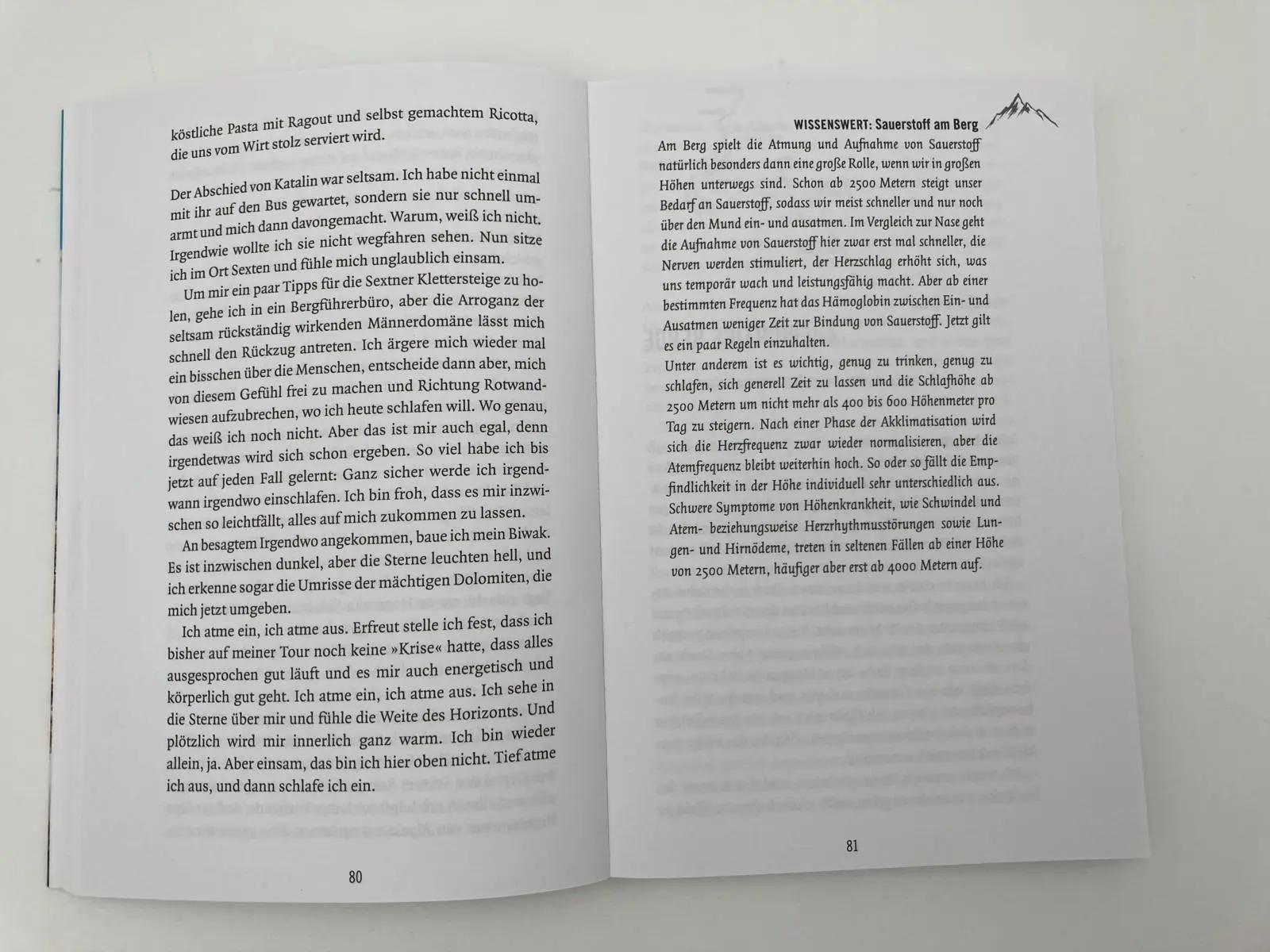 Bild: 9783492406437 | Alpensolo | Allein zu Fuß von Ost nach West | Ana Zirner | Taschenbuch