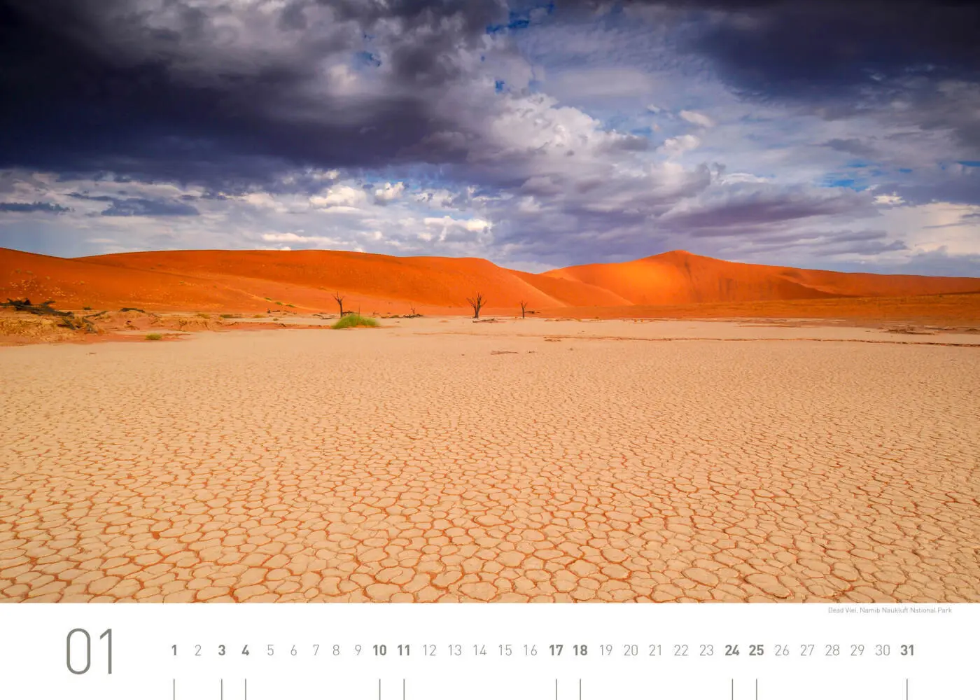 Bild: 9783968556437 | Namibia Exklusivkalender 2026 | Christian Heeb | Kalender | Deutsch