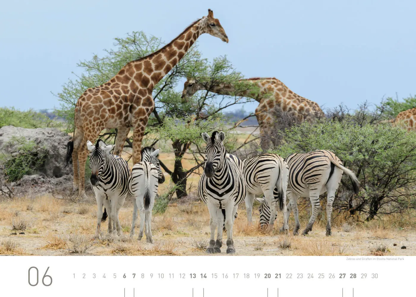 Bild: 9783968556437 | Namibia Exklusivkalender 2026 | Christian Heeb | Kalender | Deutsch