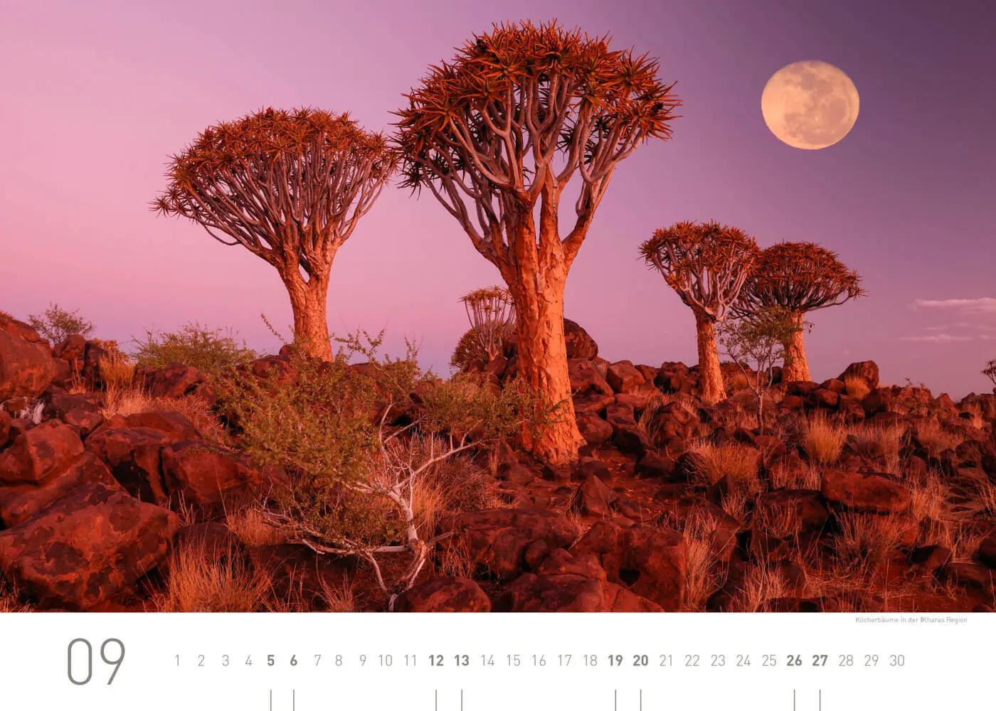 Bild: 9783968556437 | Namibia Exklusivkalender 2026 | Christian Heeb | Kalender | Deutsch