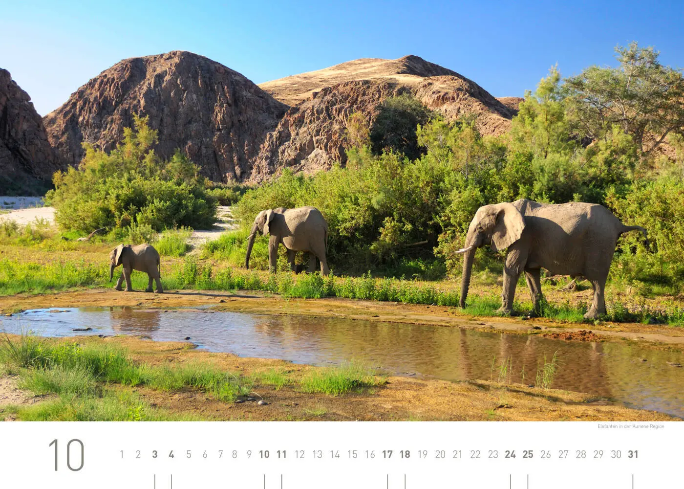 Bild: 9783968556437 | Namibia Exklusivkalender 2026 | Christian Heeb | Kalender | Deutsch