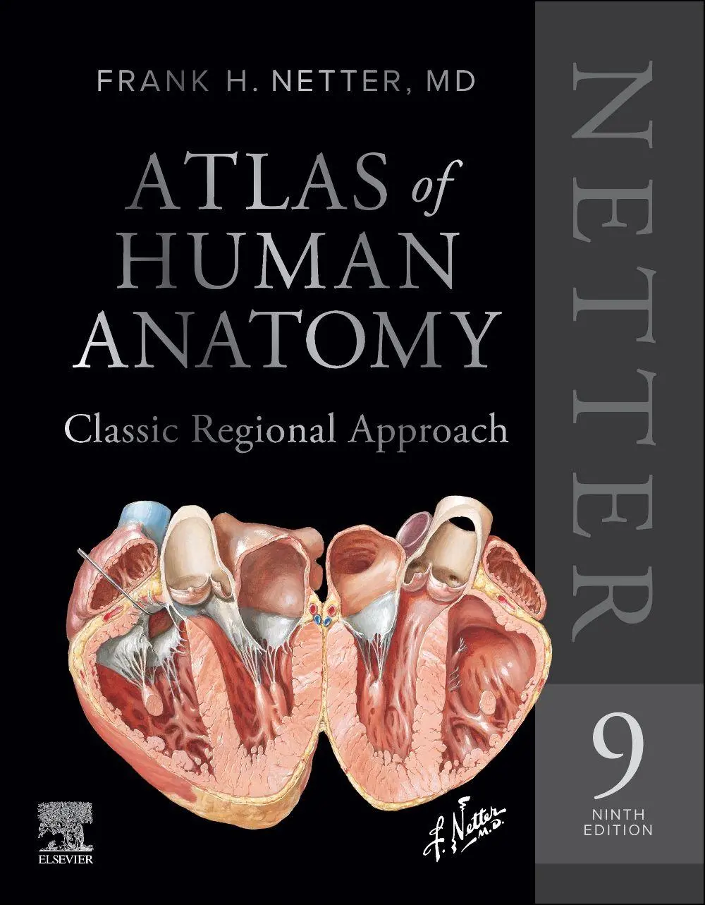 Cover: 9780443286537 | Netter Atlas of Human Anatomy: Classic Regional Approach...