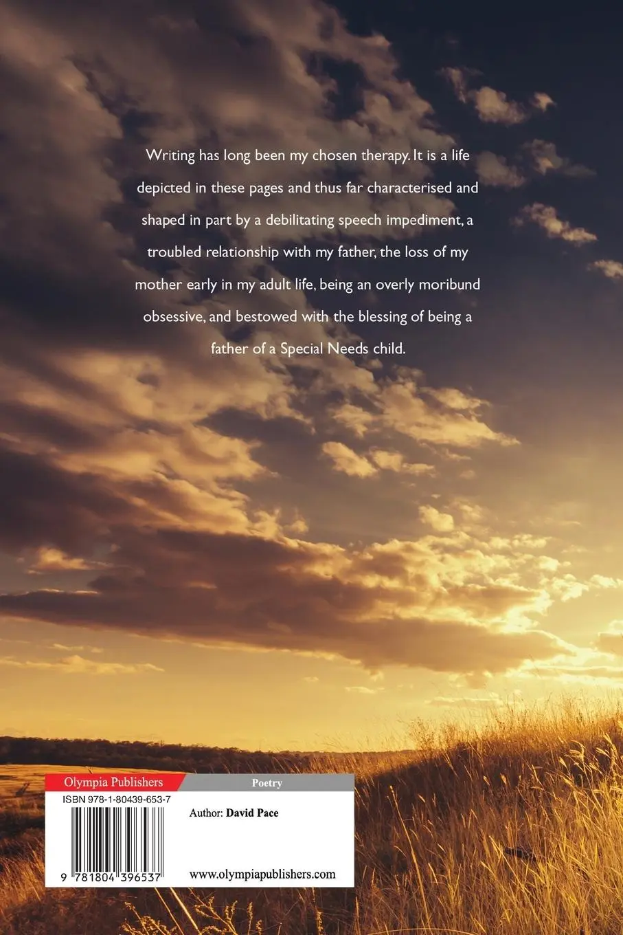 Rückseite: 9781804396537 | The Forever Field | David Pace | Taschenbuch | Englisch | 2023