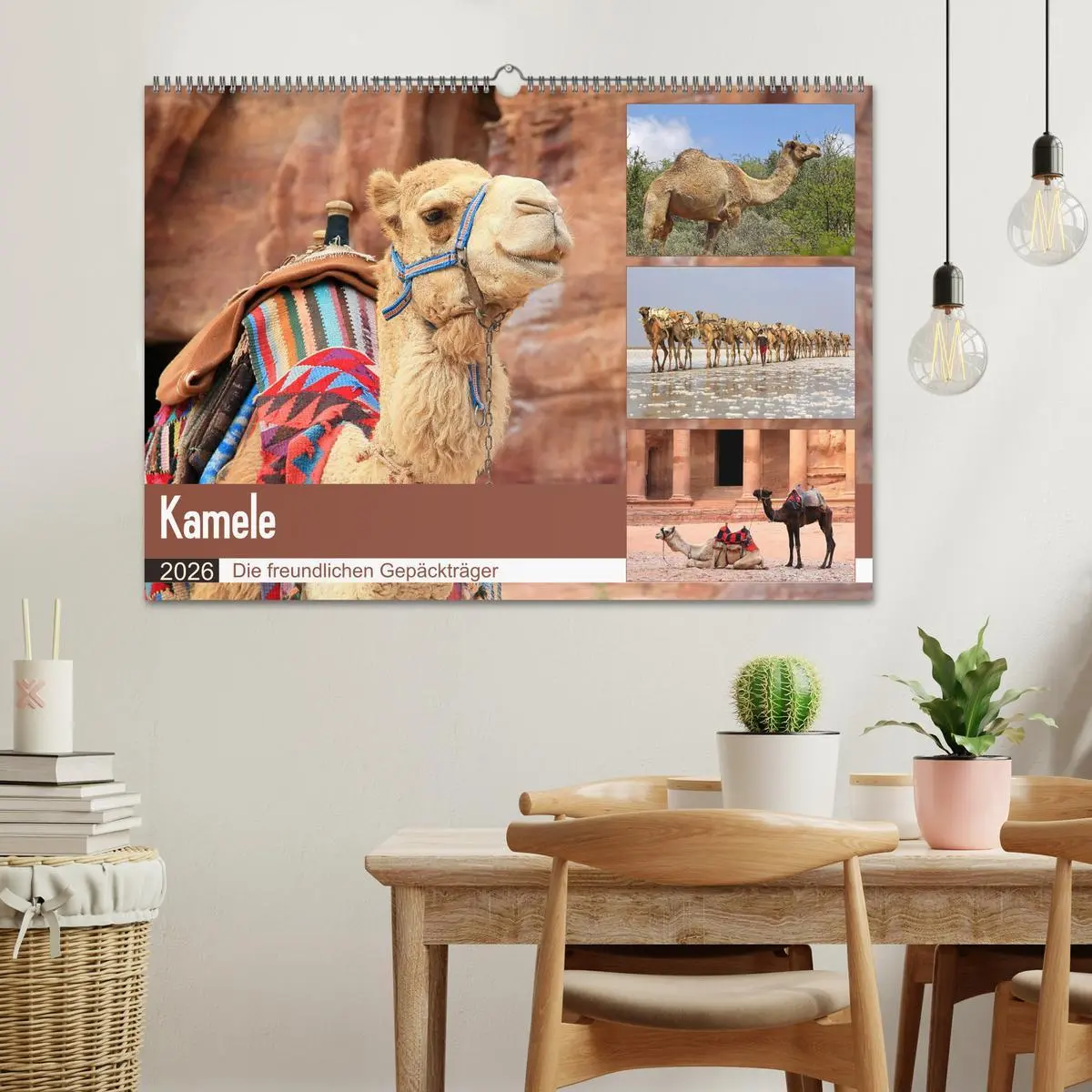 Bild: 9783457846537 | Kamele - Die freundlichen Gepäckträger (Wandkalender 2026 DIN A2...