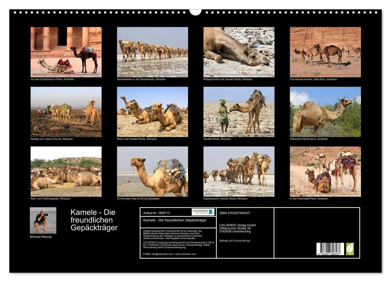 Bild: 9783457846537 | Kamele - Die freundlichen Gepäckträger (Wandkalender 2026 DIN A2...
