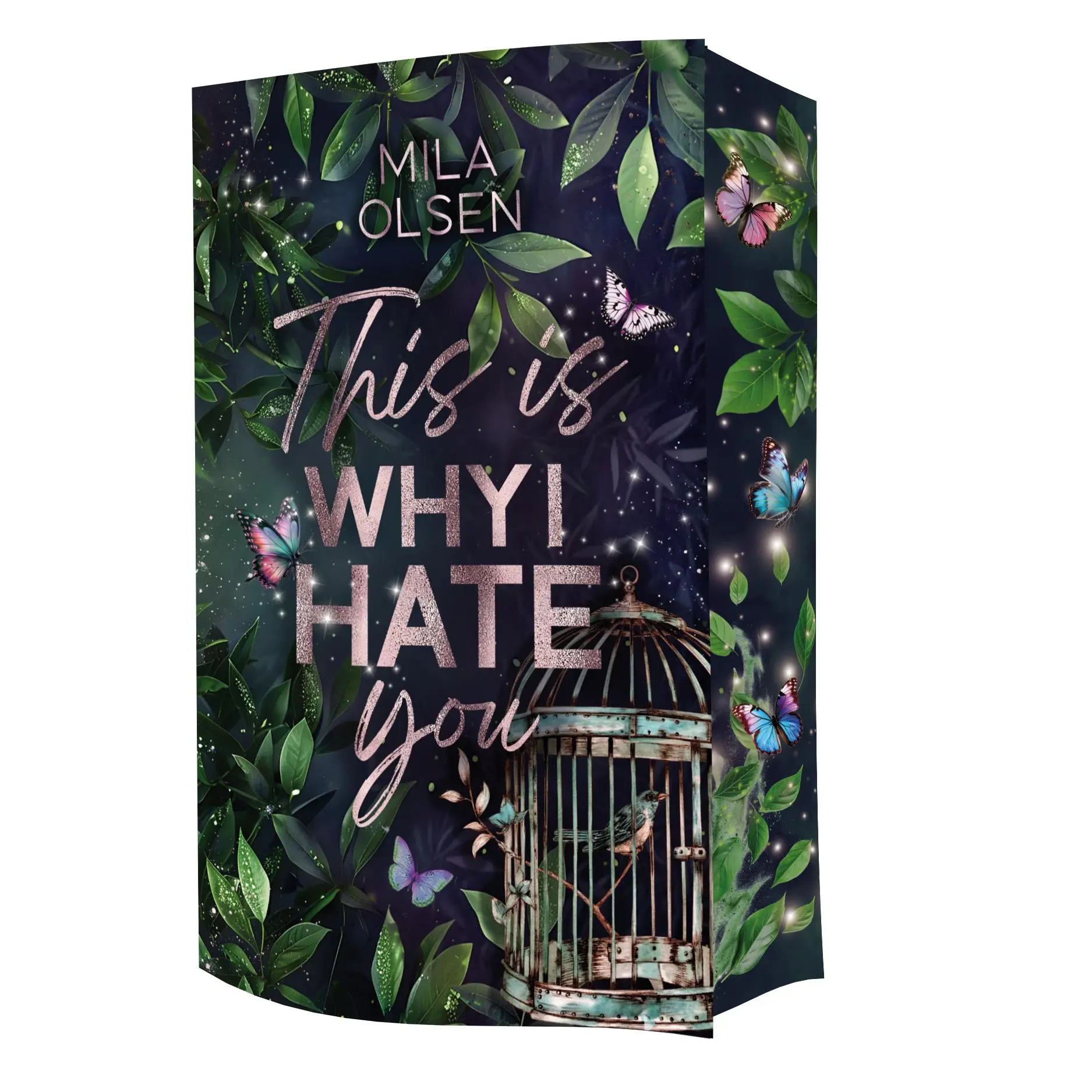 Cover: 9783910956537 | This is Why I Hate You | Mila Olsen | Taschenbuch | This-is-Why | 2025