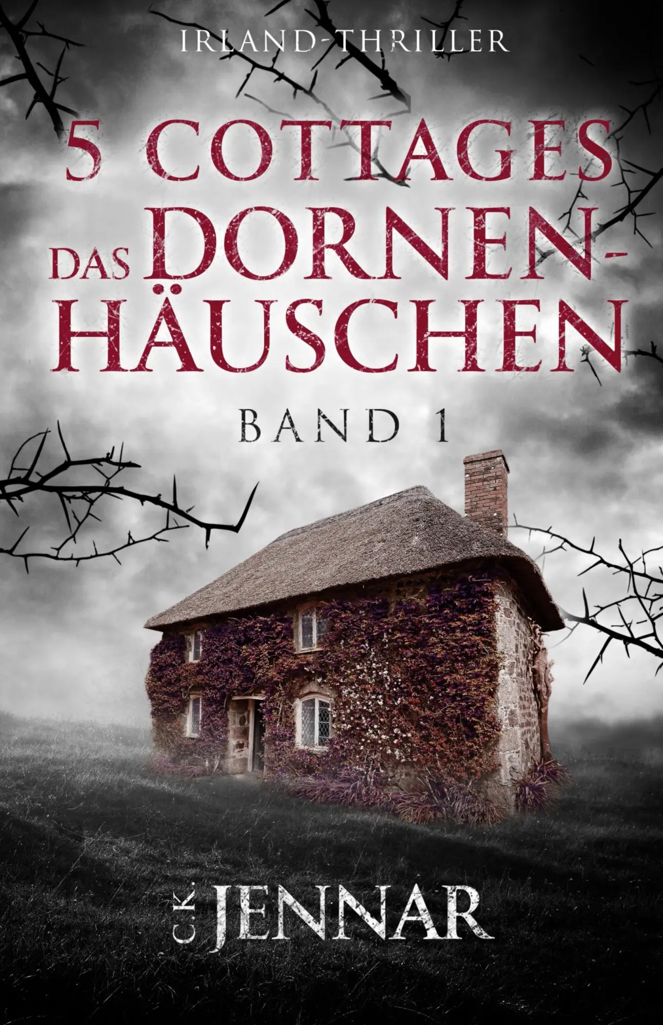 Cover: 9783964036537 | 5 Cottages - Das Dornenhäuschen | Band 1 Irland-Thriller | Jennar