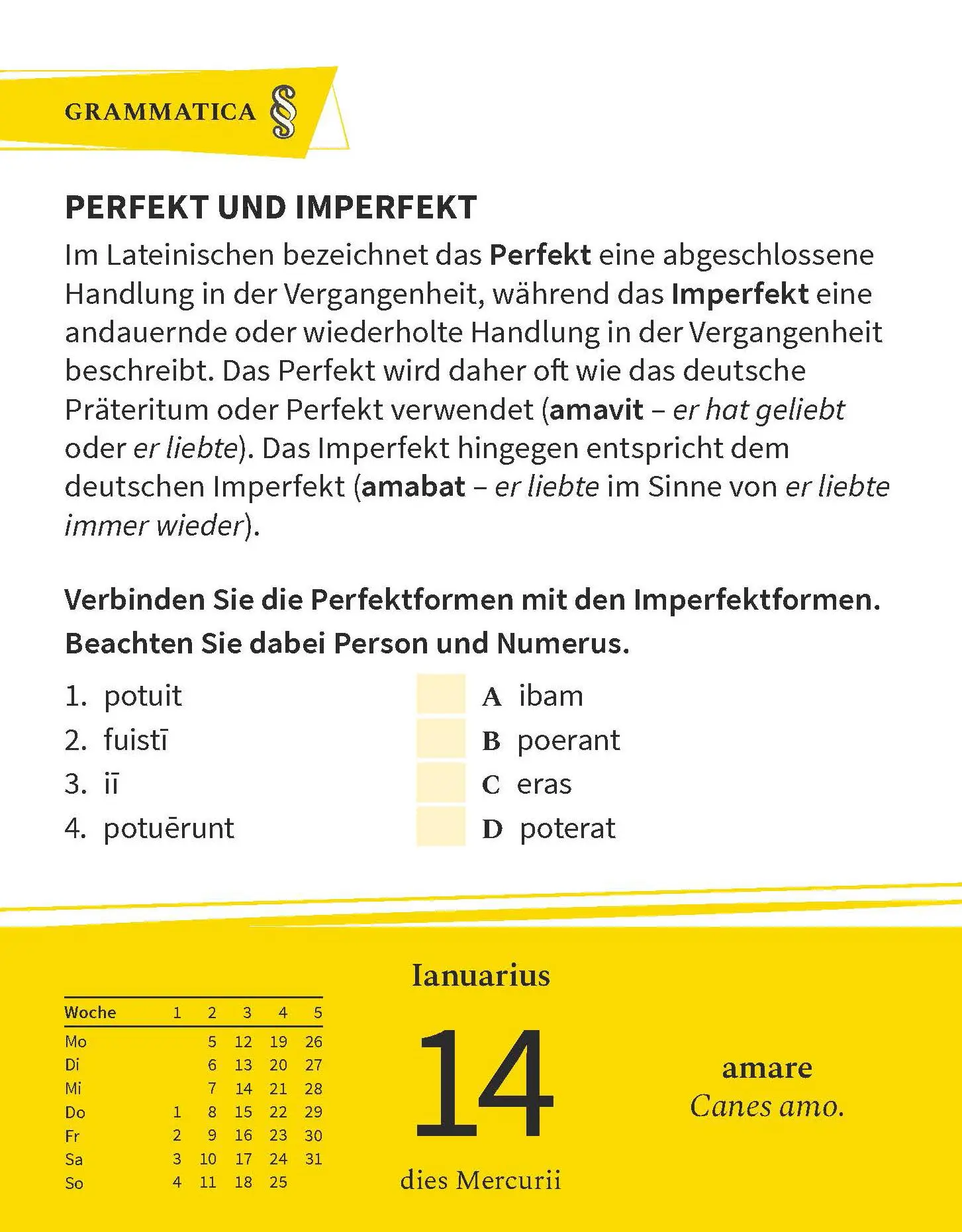 Bild: 9783125636637 | Langenscheidt Sprachkalender Latein 2026 | Tagesabreißkalender | 2026