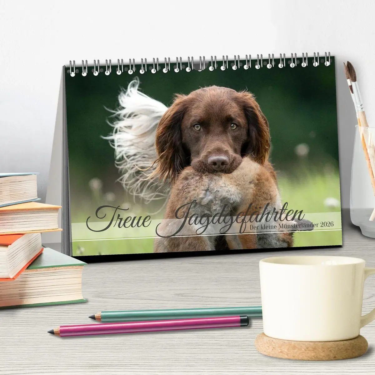 Bild: 9783457386637 | Treue Jagdgefährten Der kleine Münsterländer (Tischkalender 2026...