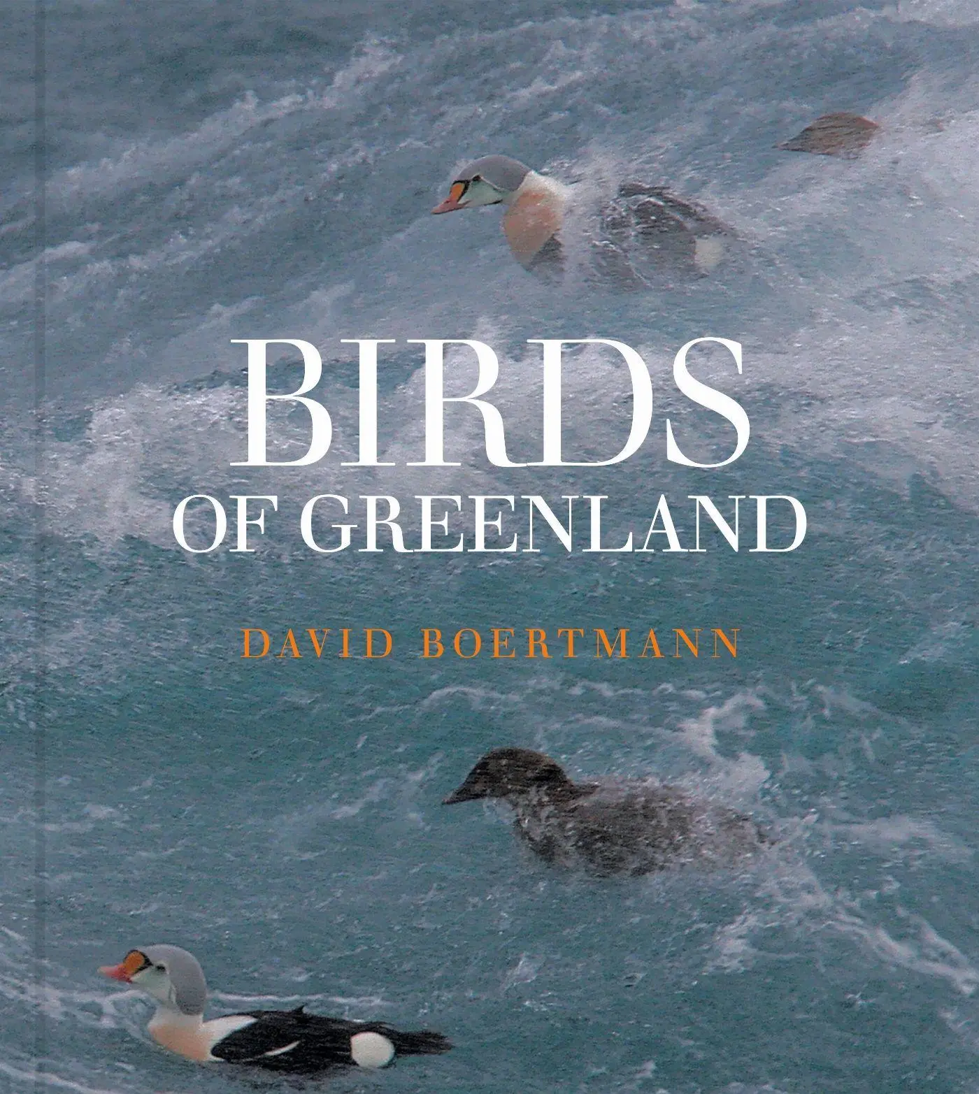 Cover: 9788775976737 | Birds of Greenland | An annotated and updated checklist | Boertmann