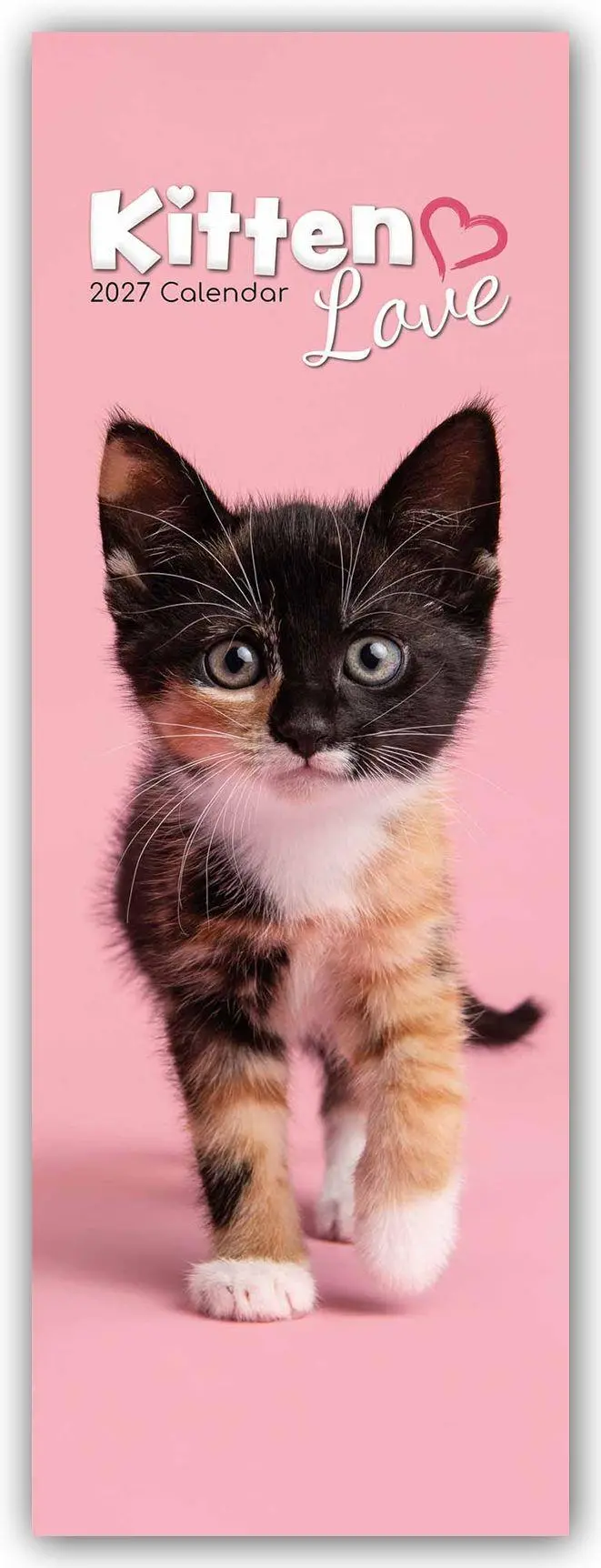 Cover: 9781805976837 | Kitten Love - Geliebte Kätzchen - Slimline-Kalender 2027 | Ltd | 28 S.